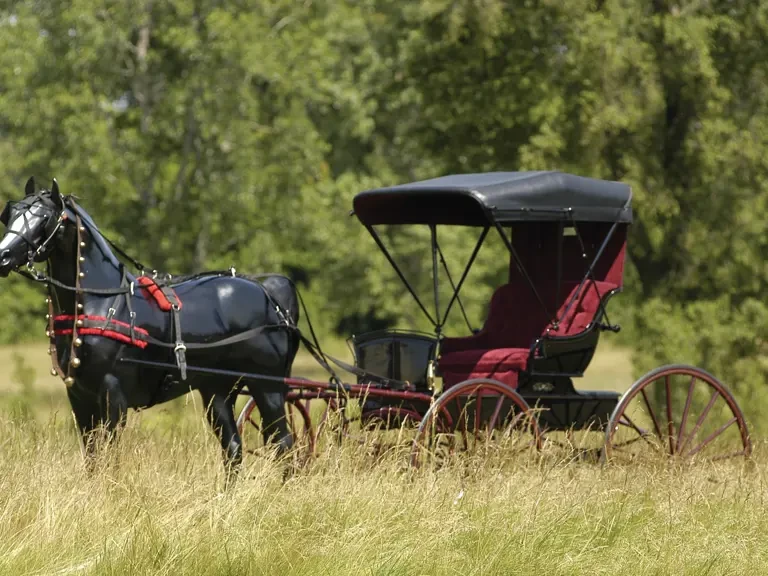 1902 Ford Model A Pickup & Model AA - Image 2 of 2