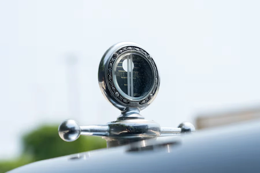 1925 Dodge Pickup (1917-1932) - Image 7 of 25