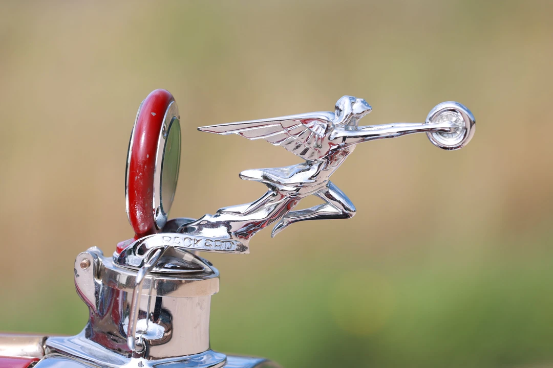1925 Packard Eight - Image 4 of 25