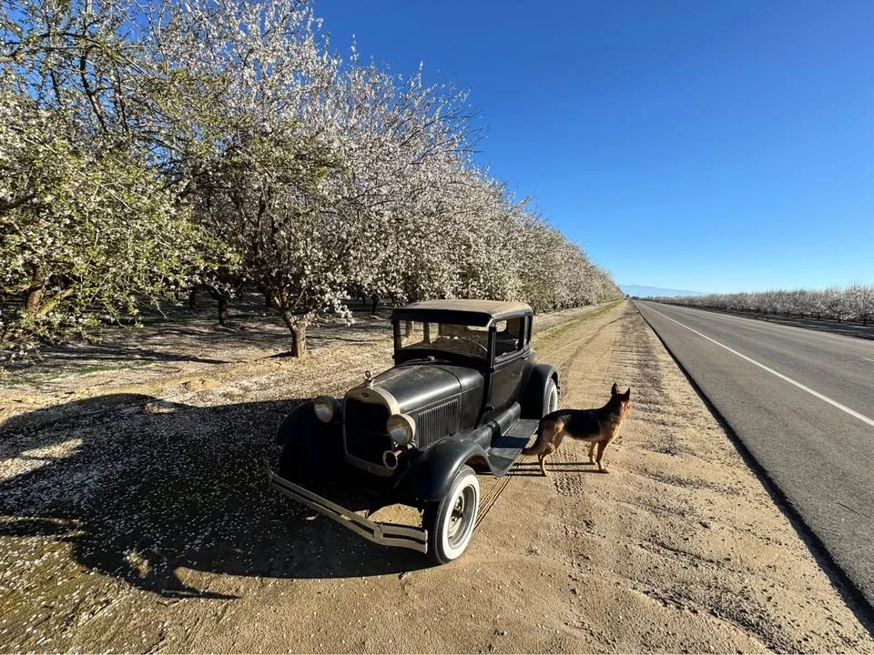 1928 Ford Model A - Image 19 of 20