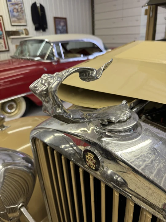 1929 Cadillac - Image 21 of 31