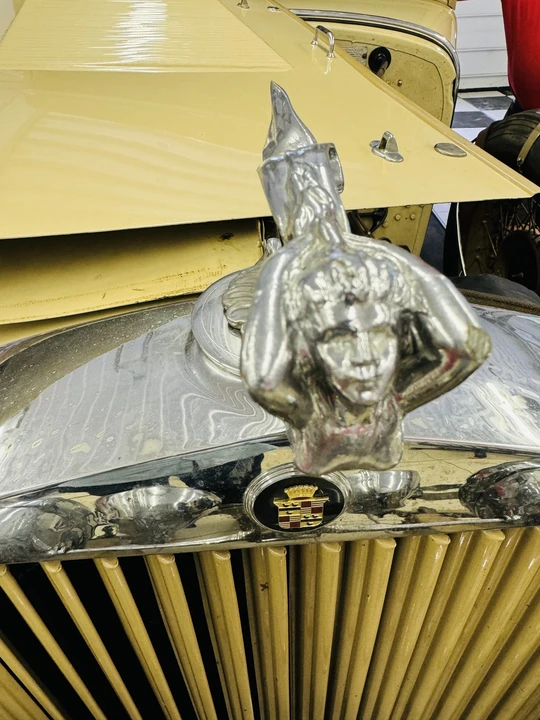 1929 Cadillac - Image 19 of 31