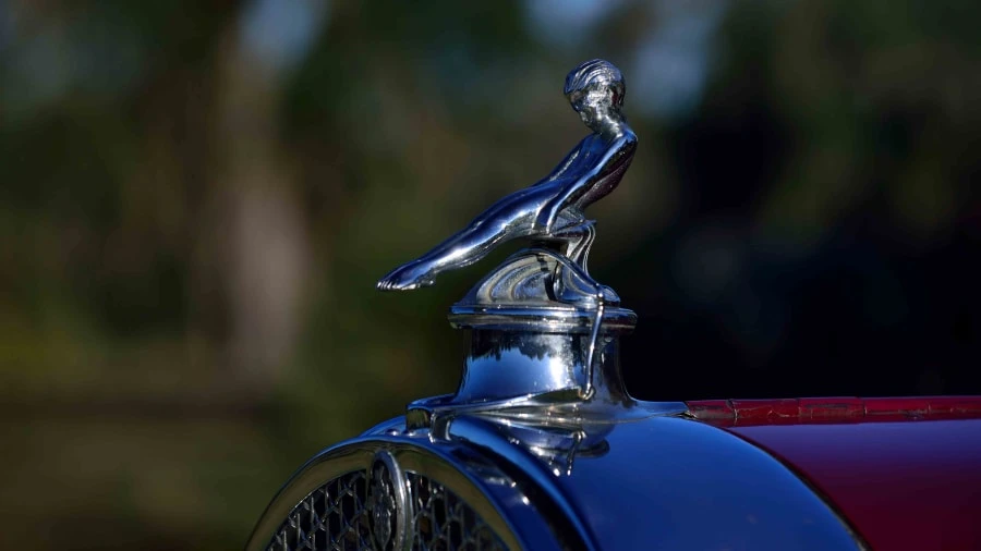 1929 Packard Eight - Image 10 of 12