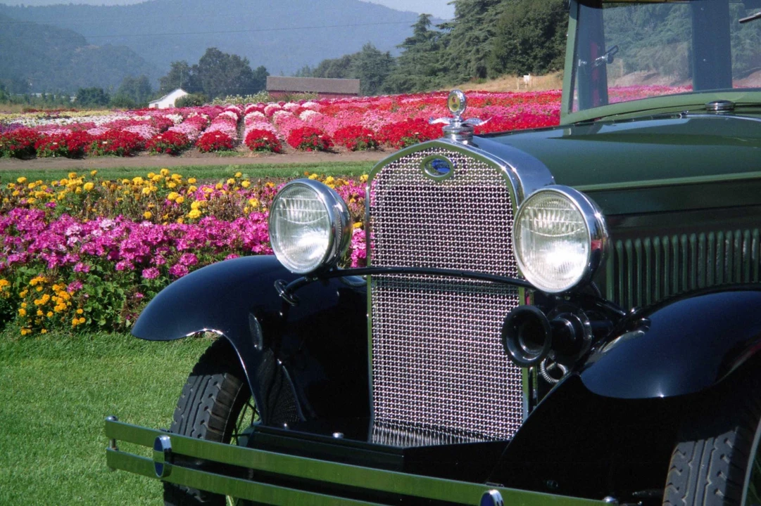 1930 Ford Model A - Image 8 of 14