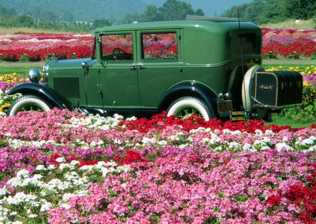 1930 Ford Model A - Image 7 of 14