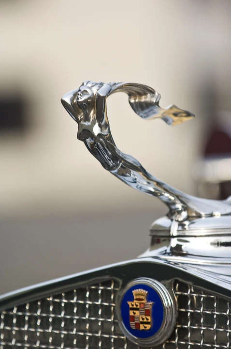 1931 Cadillac V-12 - Image 8 of 18