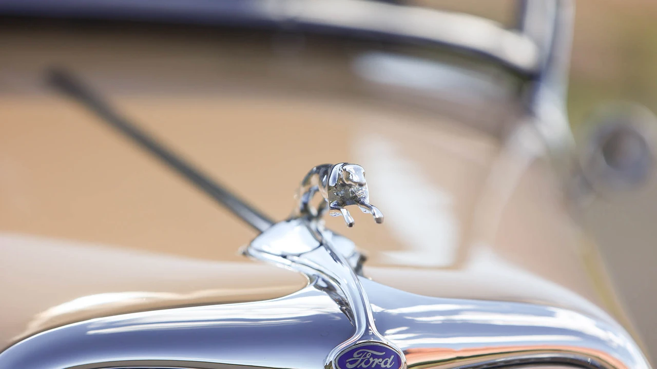 1934 Ford Model 18 & 40 - Image 24 of 31