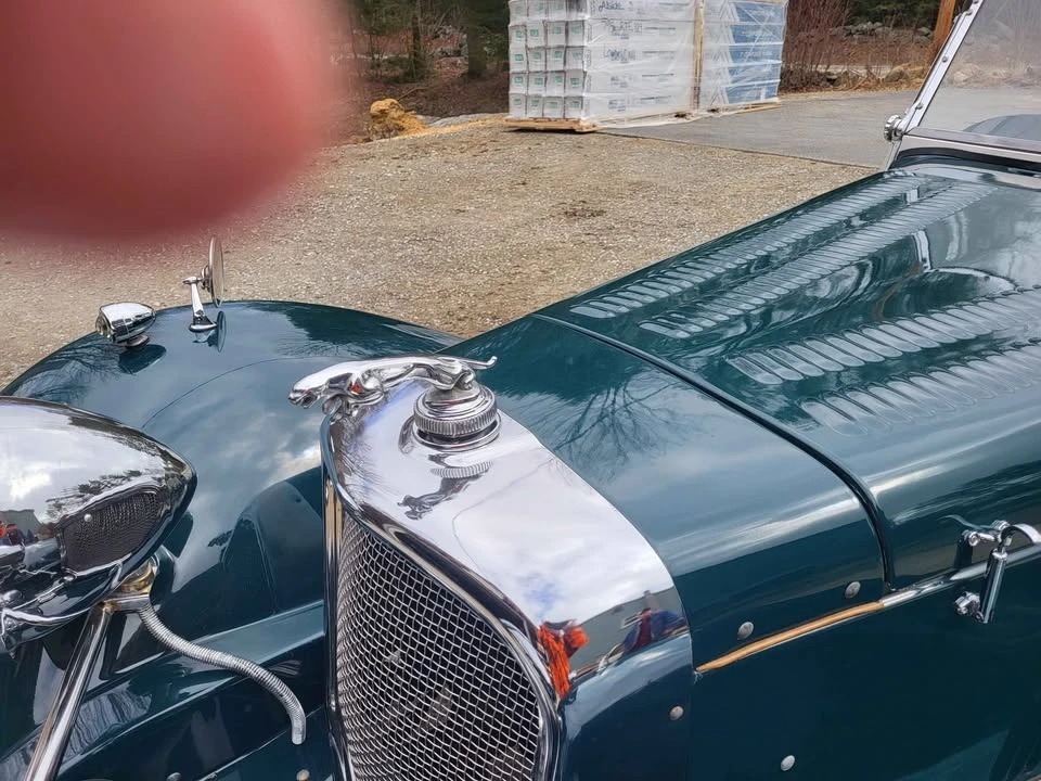 Jaguar - Image 5 of 8
