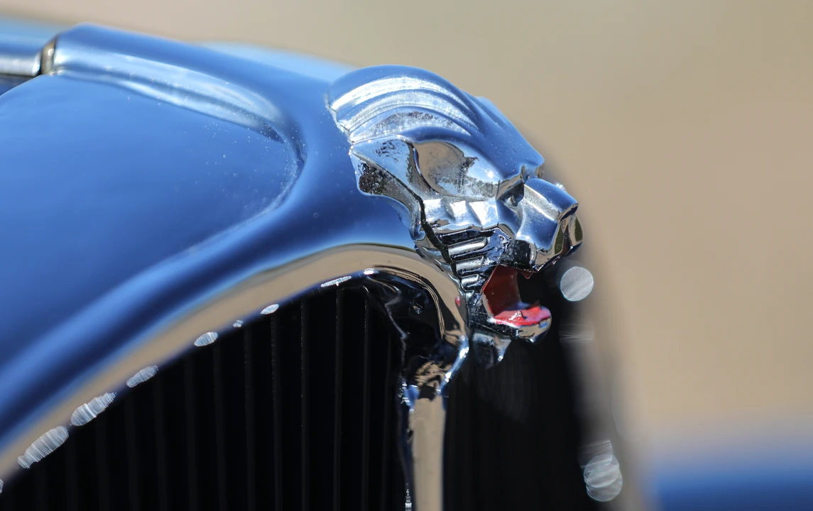 1934 Peugeot - Image 11 of 25