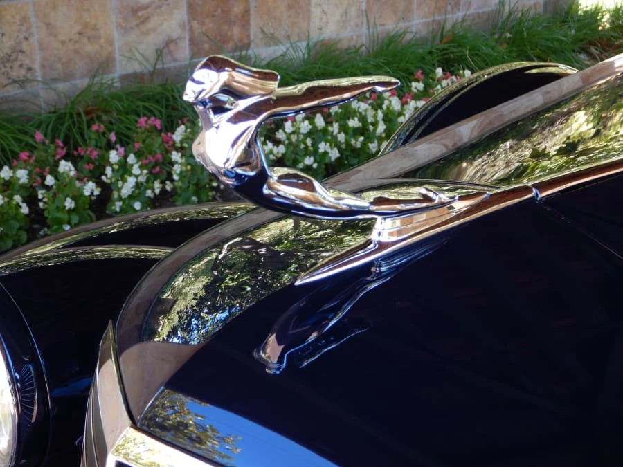 1936 Cadillac Series 70 & 75 - Image 11 of 25