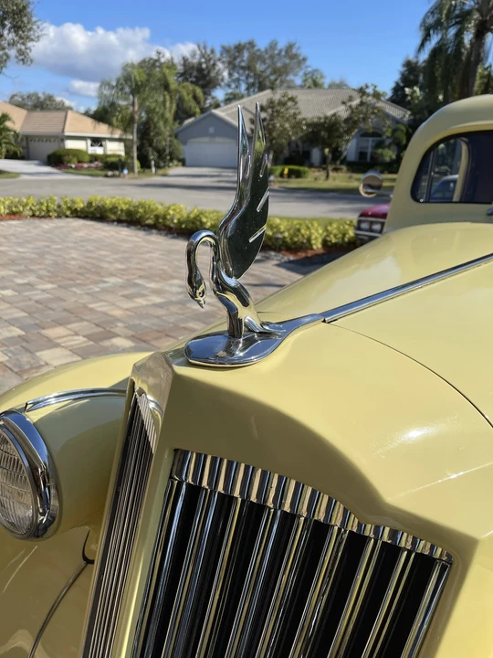 1936 Packard Six & One-Ten & 115 - Image 12 of 31