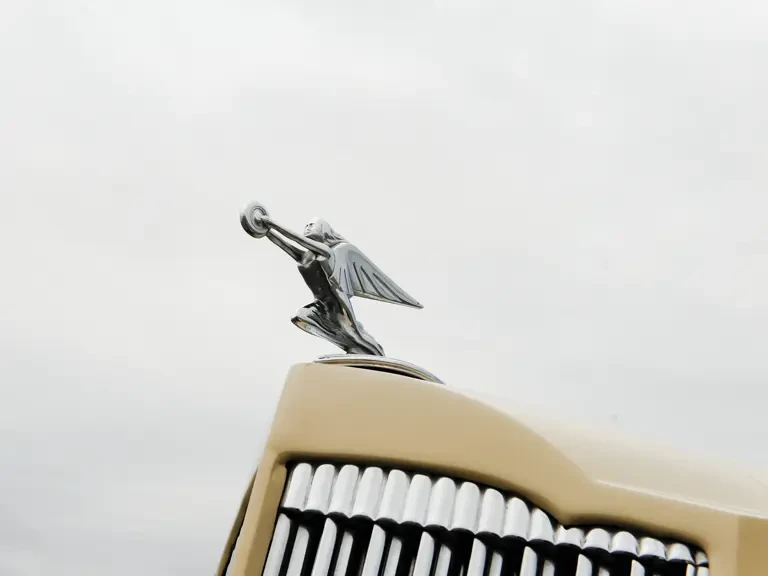 1936 Packard - Image 7 of 17