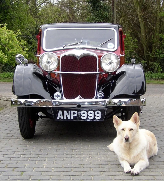 1936 Riley - Image 5 of 8