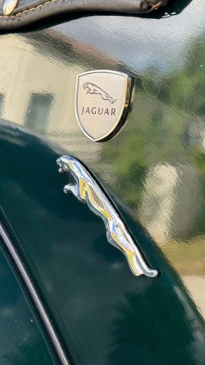 1937 Jaguar Replica - Image 14 of 20