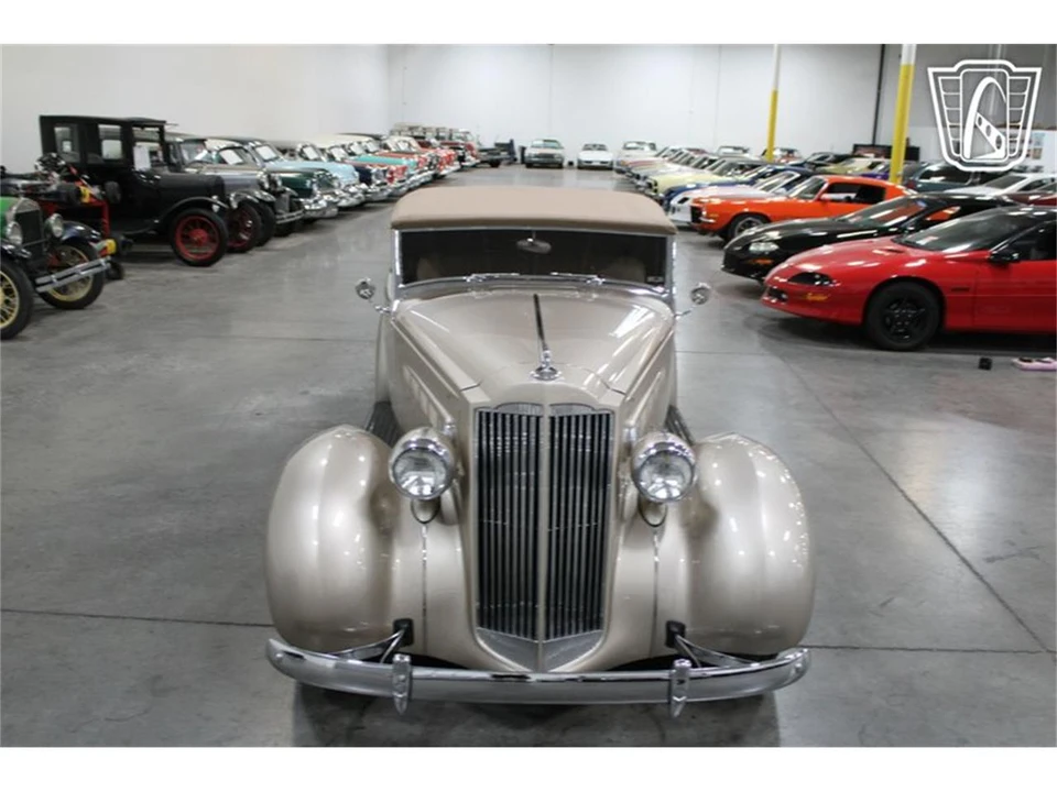 1937 Packard Six & One-Ten & 115 - Image 5 of 31