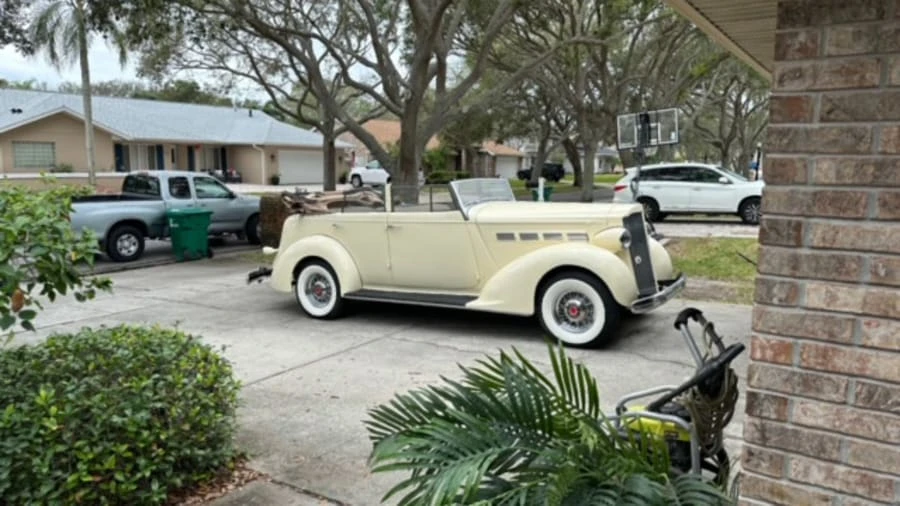 1937 Packard Six & One-Ten & 115 - Image 10 of 31