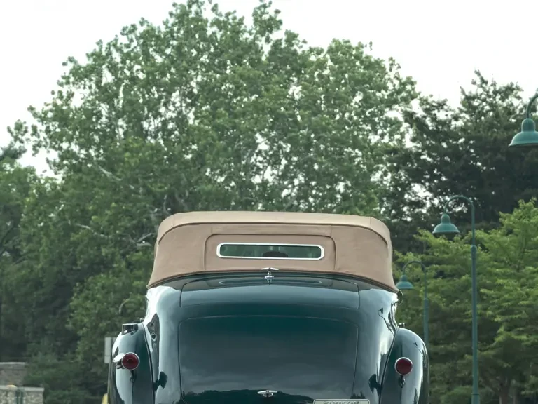 1937 Packard Six & One-Ten & 115 - Image 10 of 22