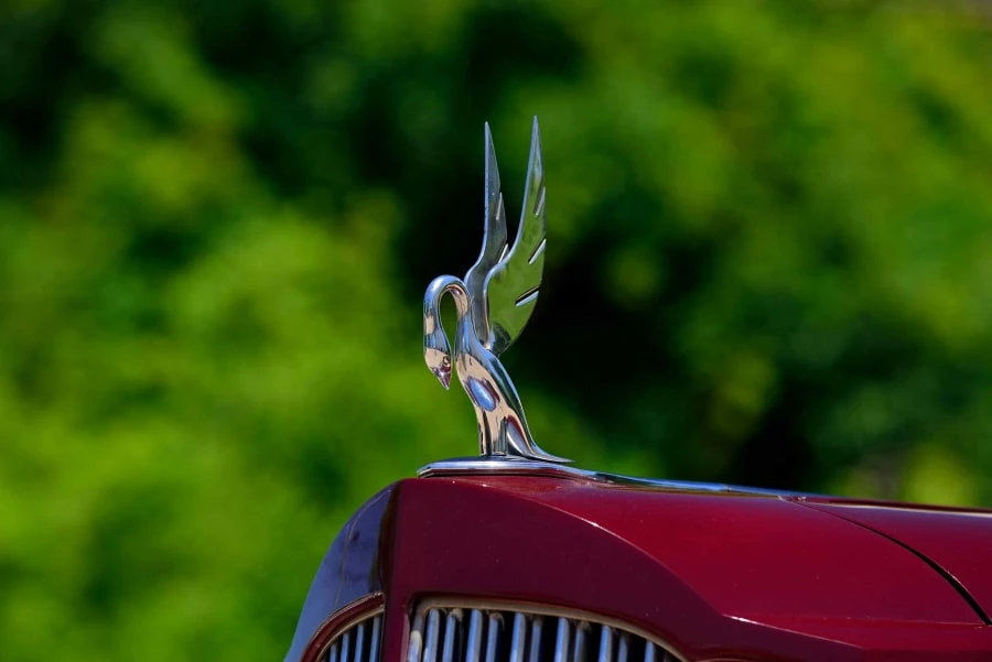 1938 Packard Six & One-Ten & 115 - Image 10 of 12