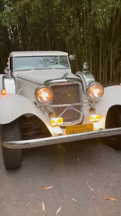 Jaguar Replica - Image 18 of 18