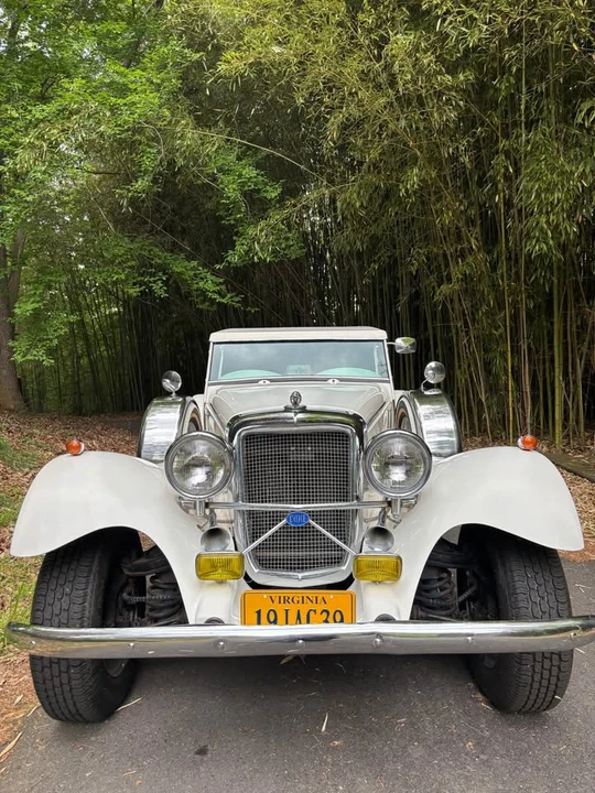 Jaguar Replica - Image 2 of 18