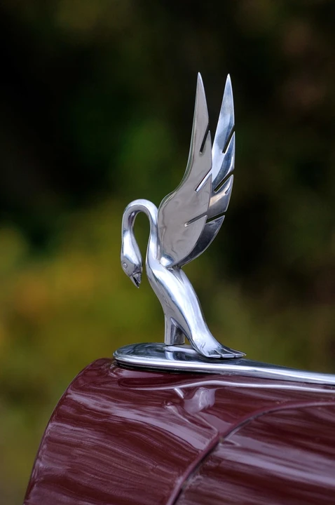 1939 Packard Six & One-Ten & 115 - Image 8 of 9