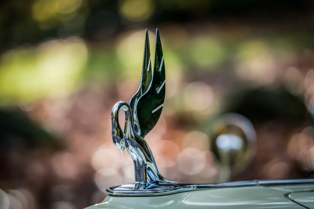1940 Packard Eight - Image 26 of 31