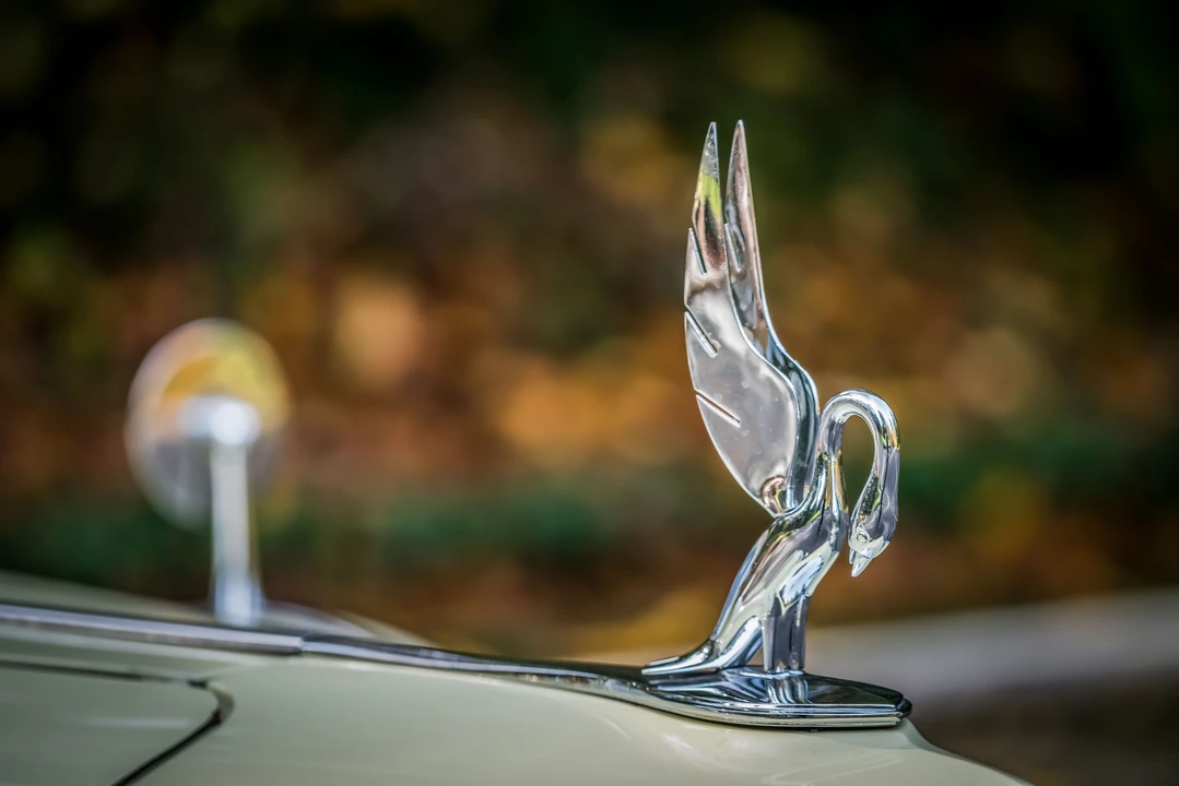 1940 Packard Eight - Image 28 of 31