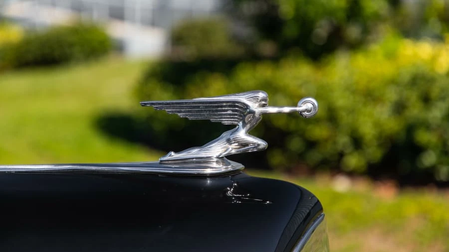 1940 Packard Six & One-Ten & 115 - Image 11 of 13