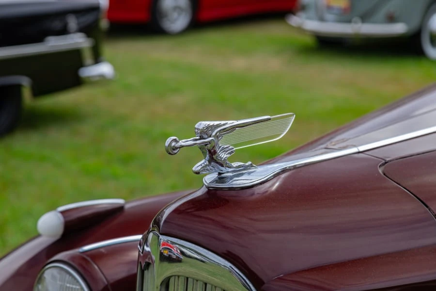 1940 Packard Eight - Image 7 of 22