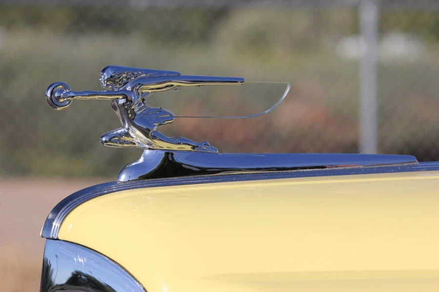 1941 Packard Six & One-Ten & 115 - Image 9 of 10