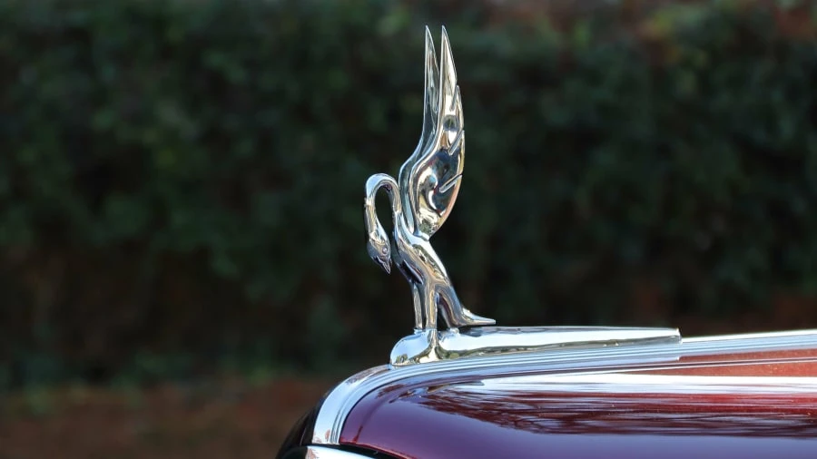 1941 Packard Six & One-Ten & 115 - Image 19 of 26