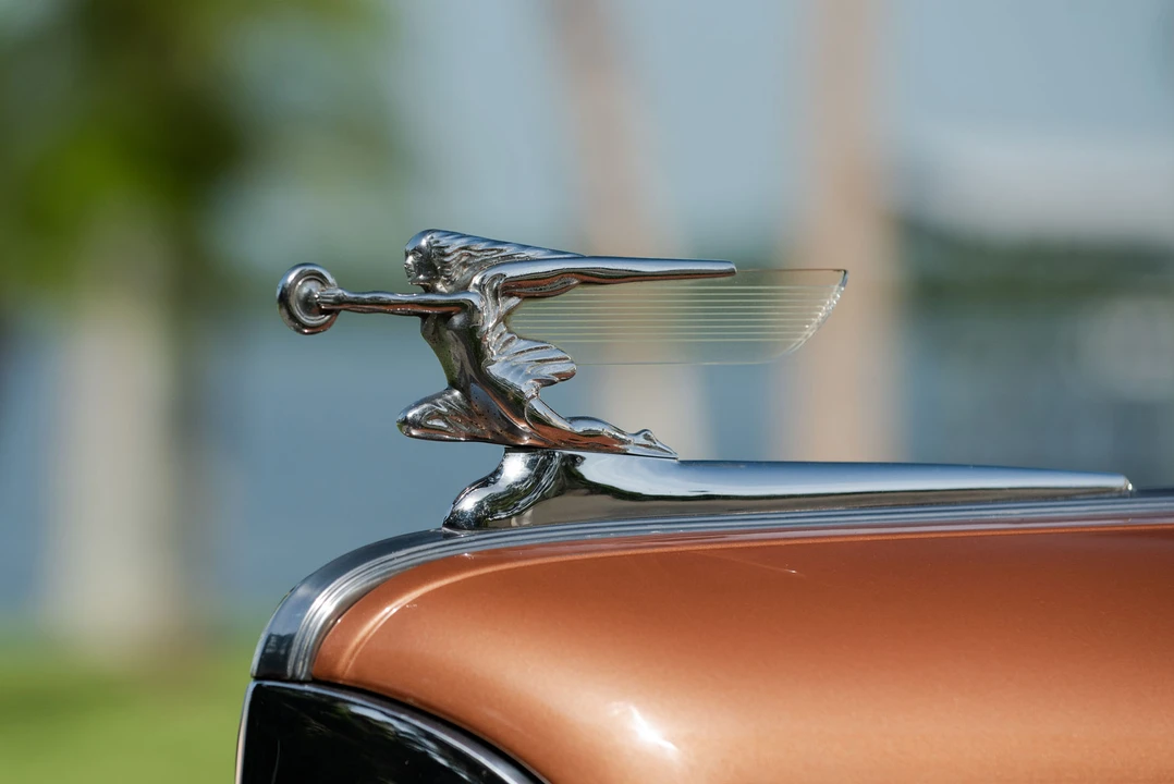 1941 Packard Six & One-Ten & 115 - Image 8 of 31