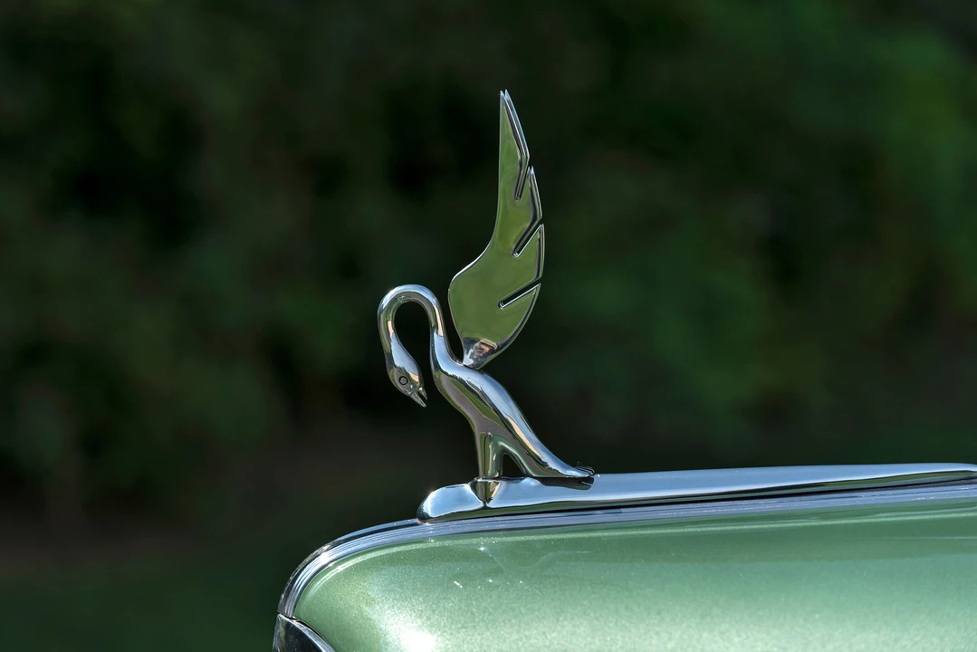 1941 Packard Six & One-Ten & 115 - Image 3 of 15