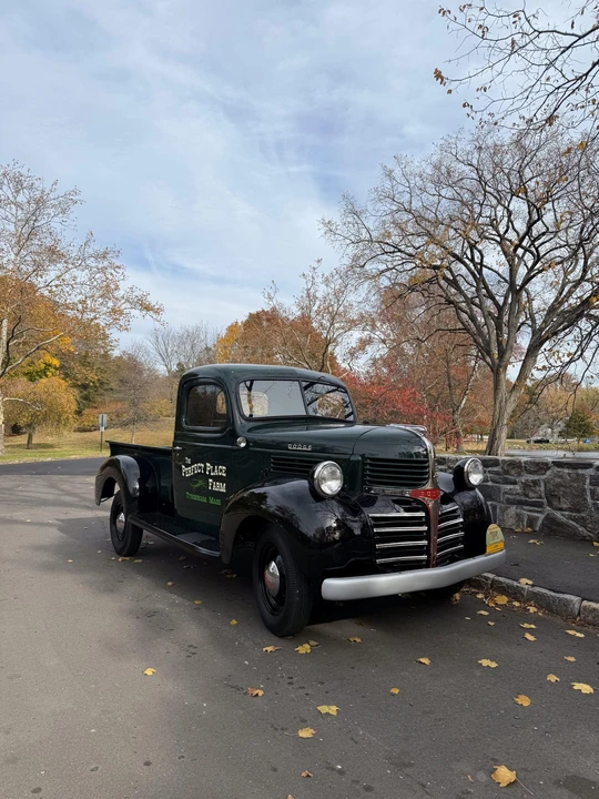1942 Dodge T/V/W Series - Image 8 of 31
