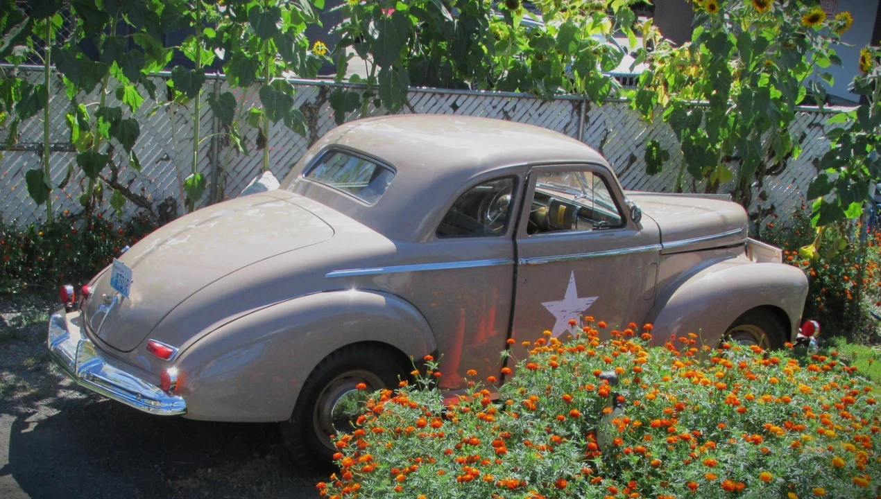 1942 Studebaker Champion - Image 6 of 31