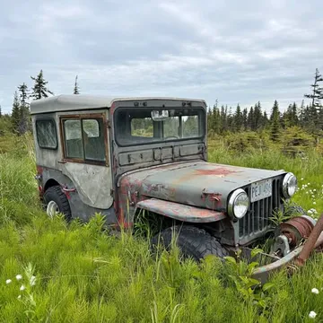 1943 Ford Jeep Willys