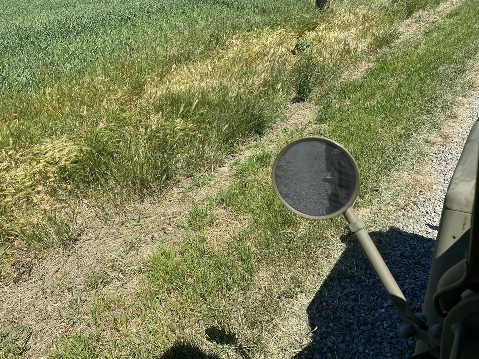 1945 Willys MB - Image 23 of 31