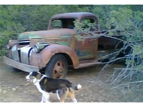 1946 Chevrolet Pickup