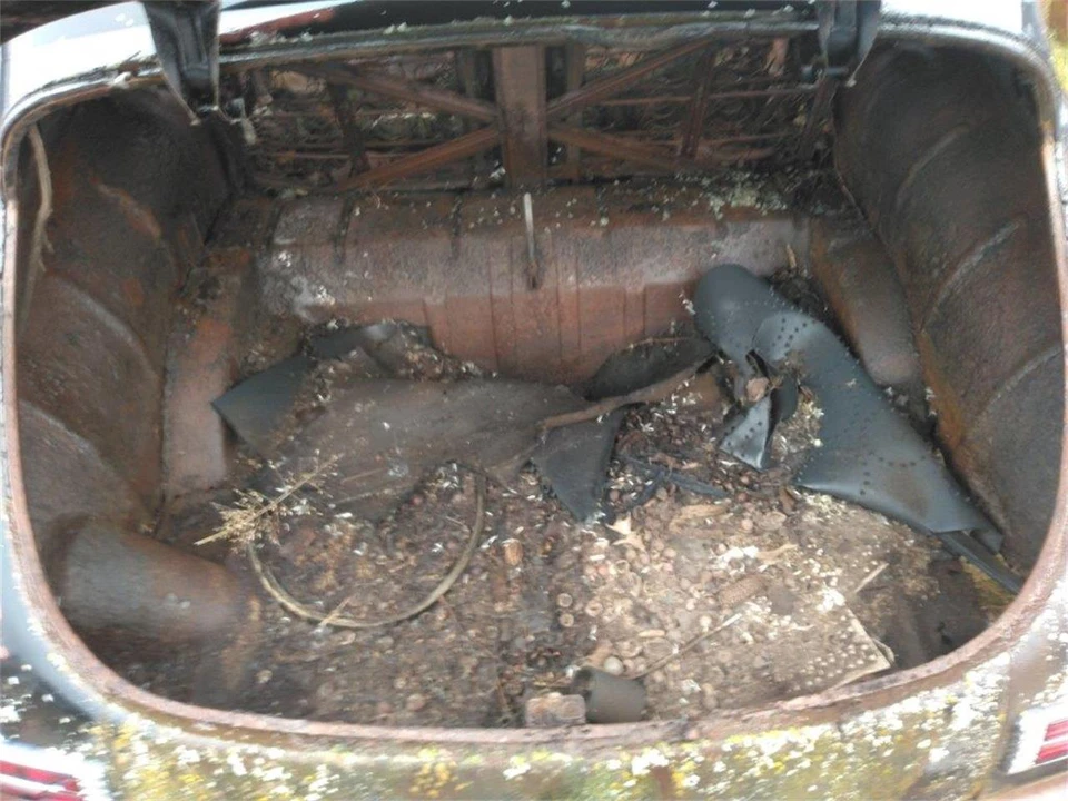 1947 Packard Clipper - Image 11 of 13