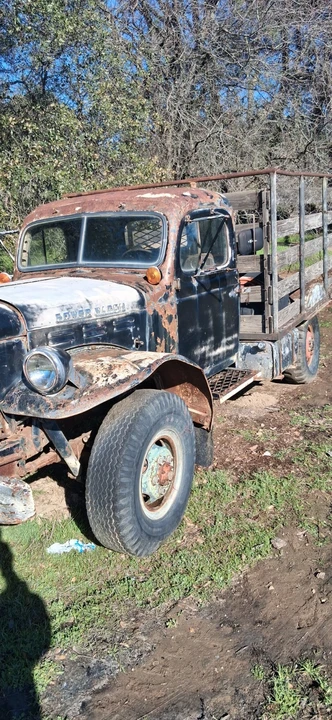 1949 Dodge Power Wagon (1946-1968) - Image 7 of 16