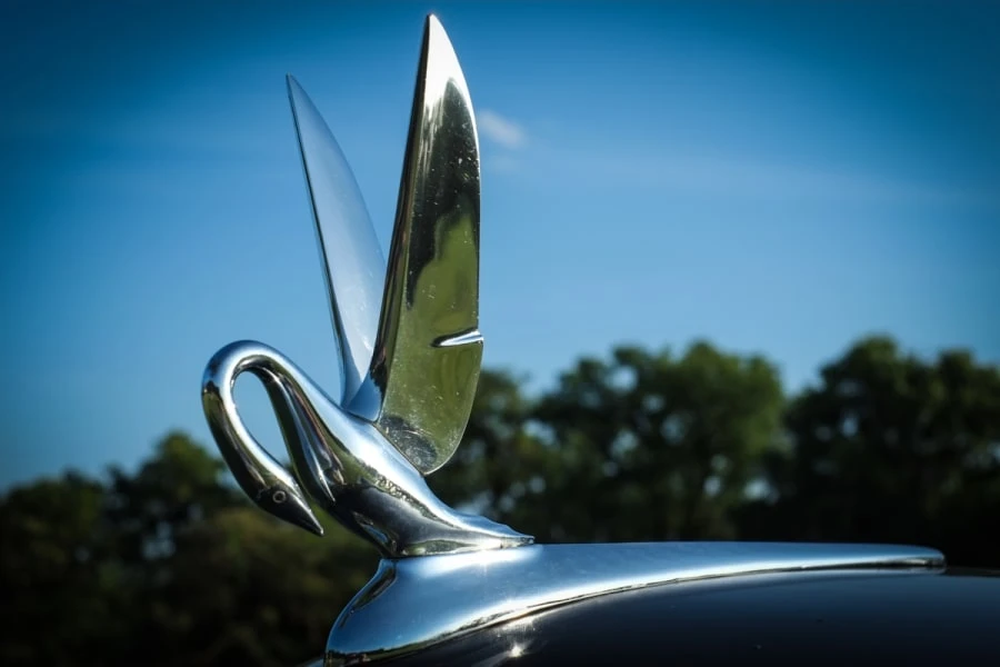 1949 Packard Eight - Image 8 of 10