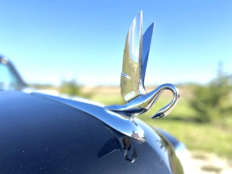 1949 Packard - Image 6 of 28
