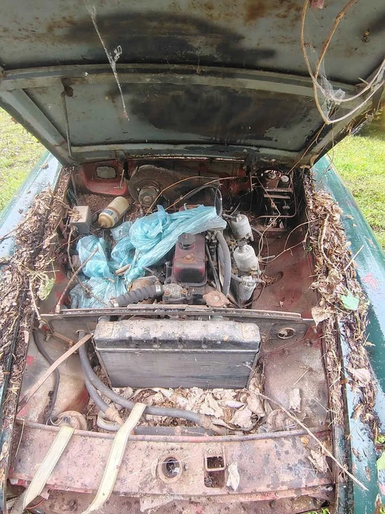 1950 Ford Bronco - Image 7 of 7