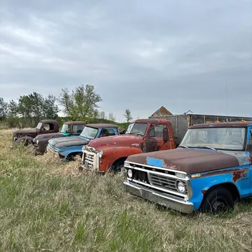 1950 Ford F-100