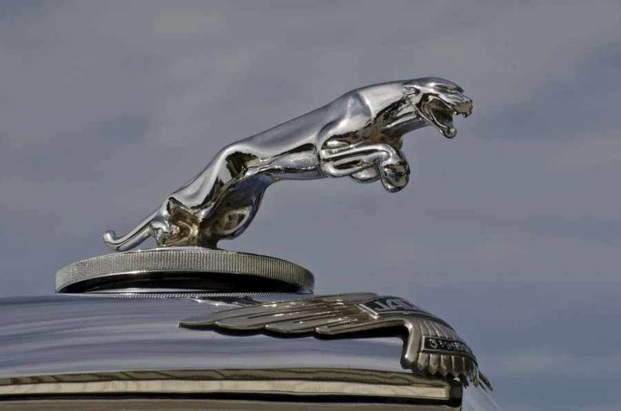 1950 Jaguar Mark V - Image 8 of 12