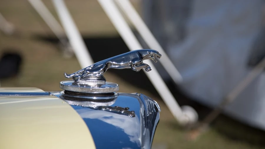 1950 Jaguar Mark V - Image 8 of 8