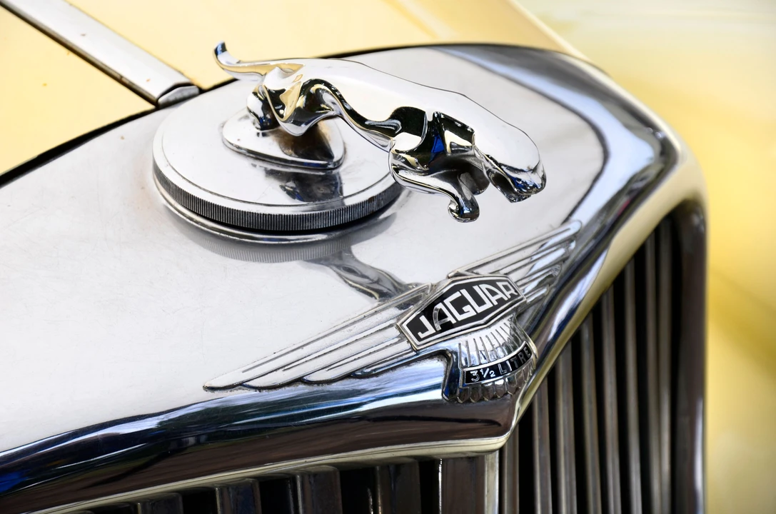 1950 Jaguar Mark V - Image 6 of 25