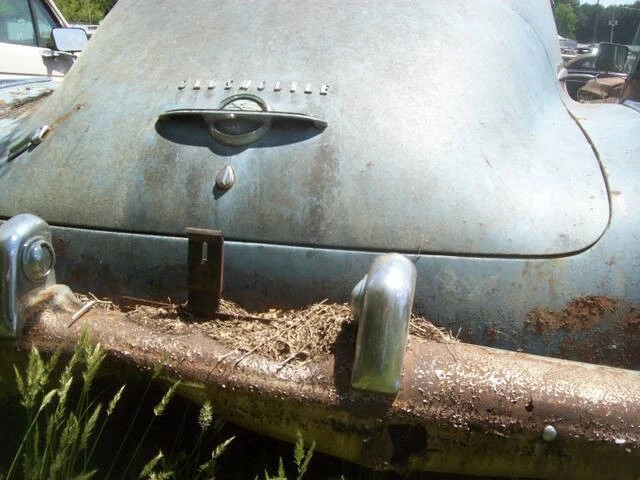 1950 Oldsmobile 88 - Image 5 of 15