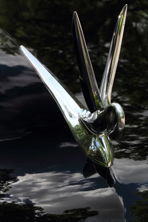 1950 Packard Eight - Image 9 of 11