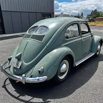 1950 Volkswagen Split Window Bug